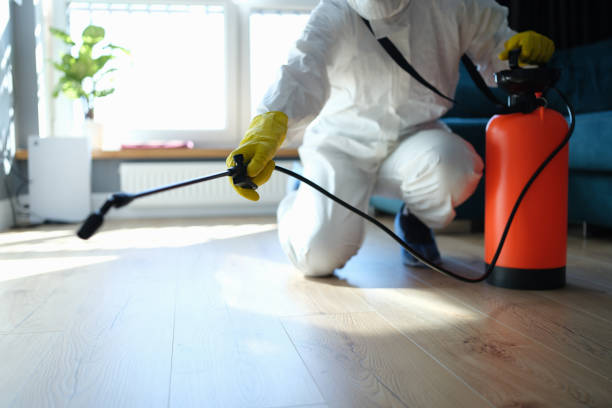 Reliable Sewage Cleanup contractor in Mendon, IL by Trauma Clean Pros